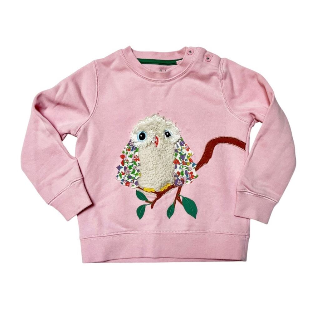 Mini Boden Owl Appliqué Sweatshirt Size 2/3